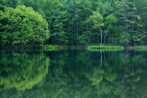 F1电竞官方赛事:年轻力量崛起,他们将定义未来赛车新篇章! F1电竞官方赛事:年轻力量崛起,他们将定义未来赛车新篇章!